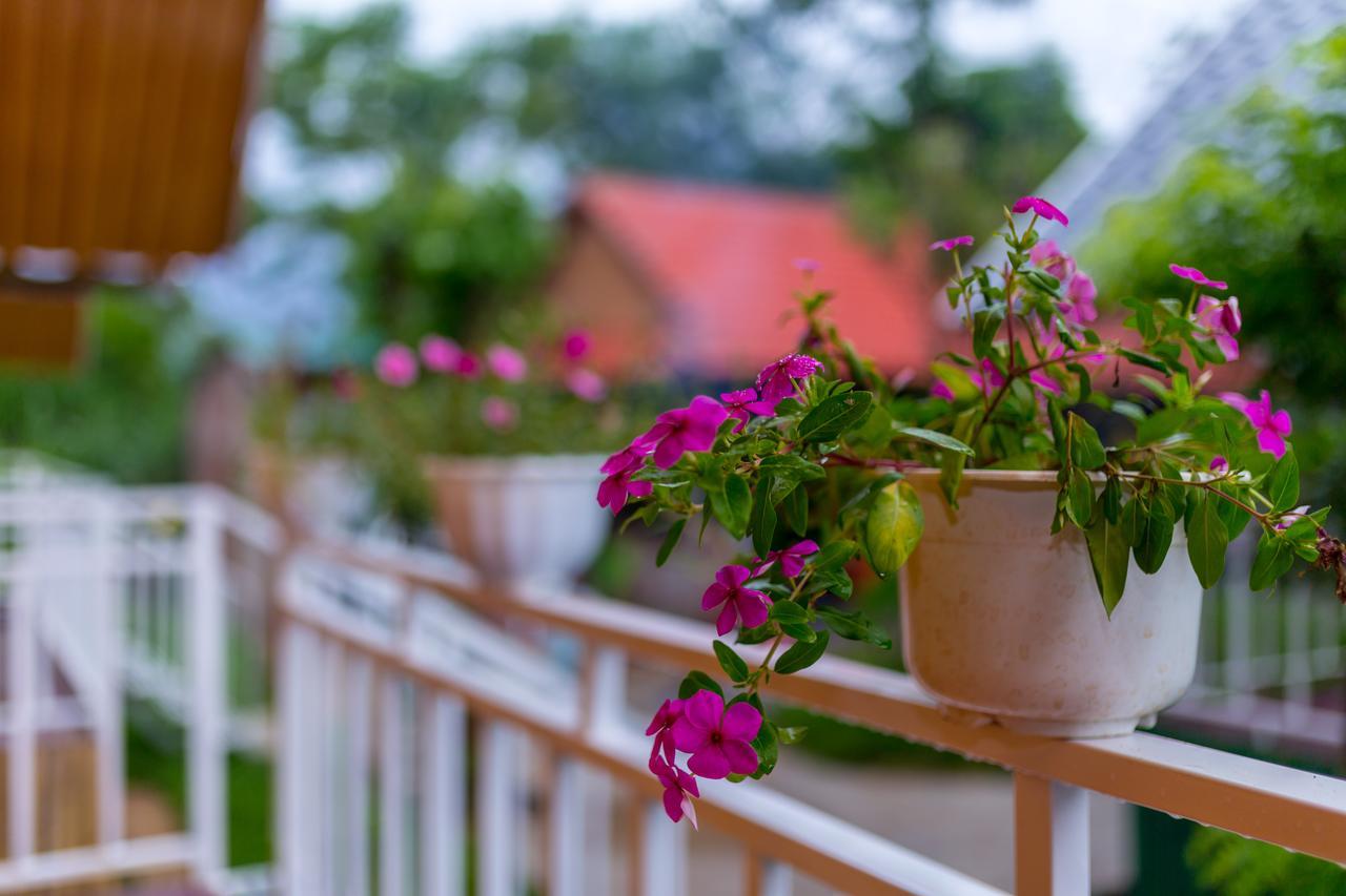 Pomelo Homestay Phong Nha Exterior foto