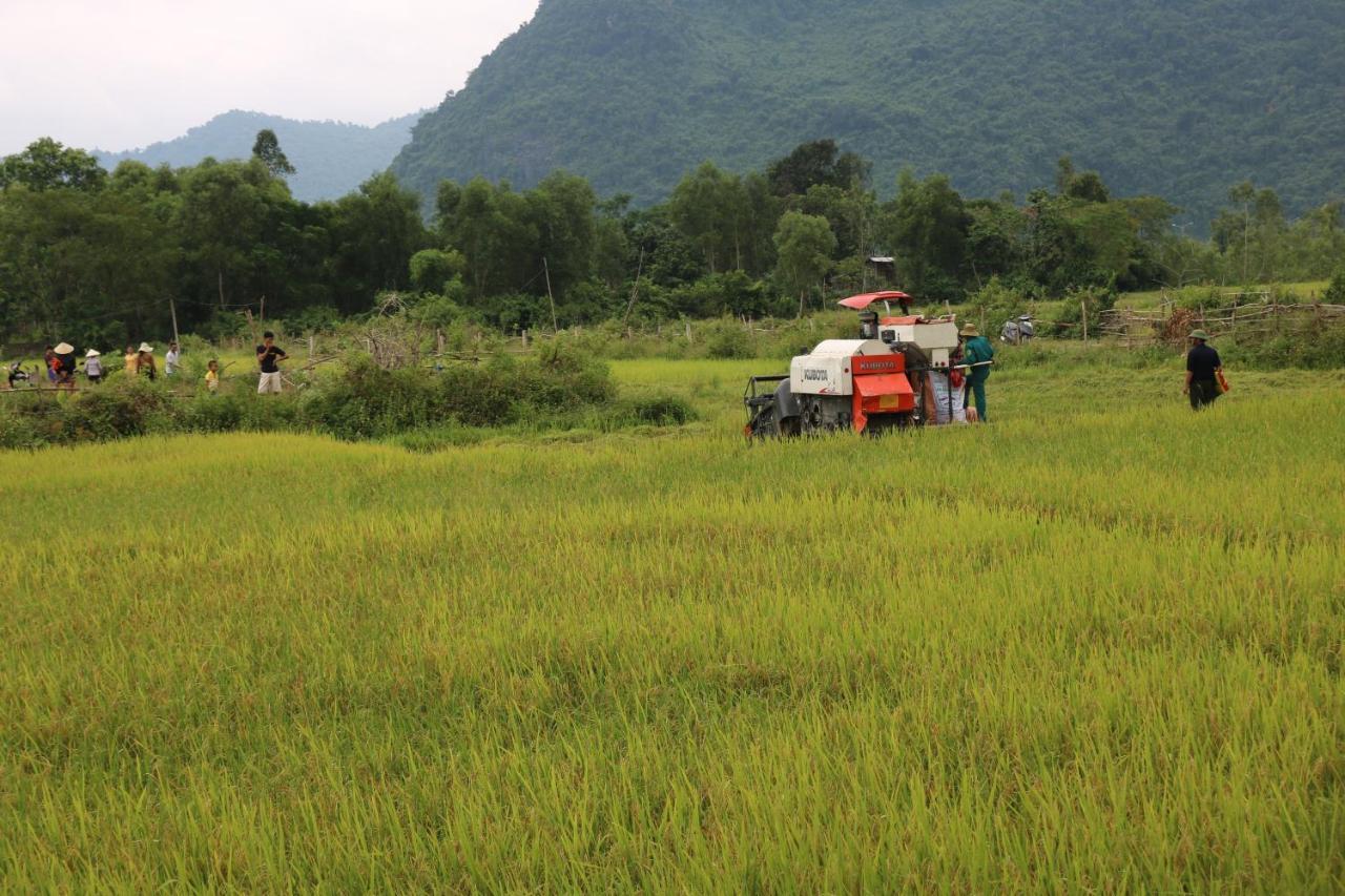 Pomelo Homestay Phong Nha Exterior foto